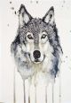 Iconic Wolf Picture Modern Rug