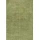 Cozy Super Soft Shaggy Green Rug
