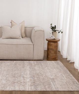 Muse Distressed Beige & Blue Transitional Rug