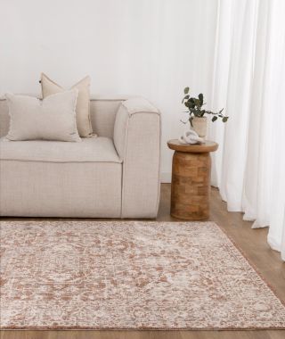 Muse Distressed Beige & Rust Transitional Rug